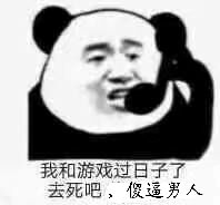 我和游戏过日子了去死吧,傻逼男人