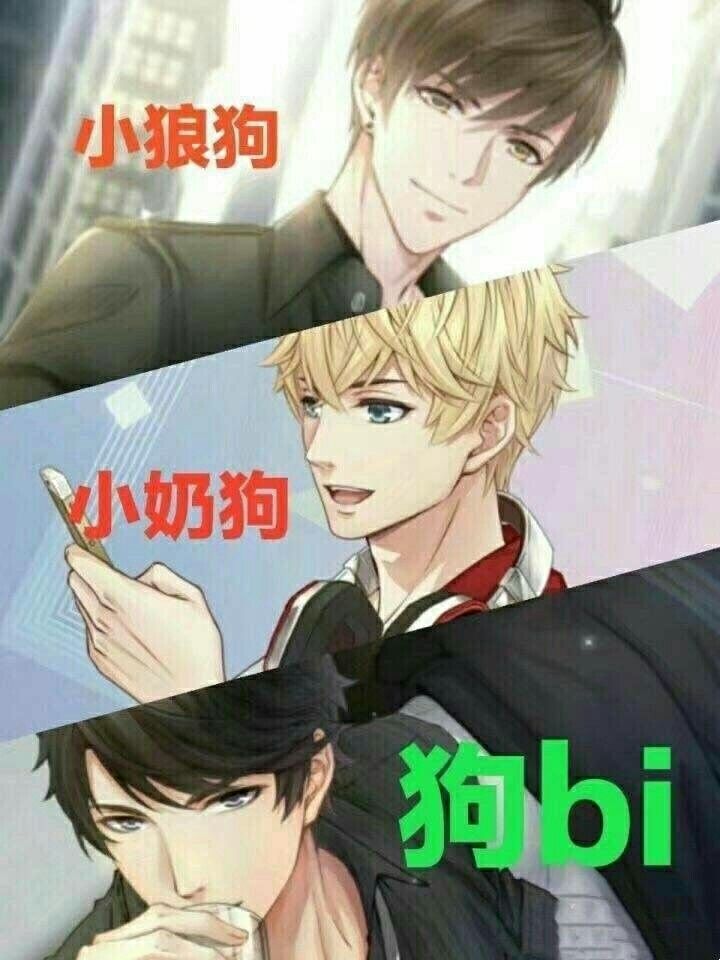 小狼狗小奶狗狗bi