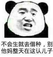 不会生就去借种,别他妈整天在这认儿子