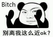 Bitch别离我这么近ok?