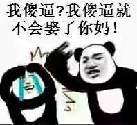 我傻逼?我傻逼就不会娶了你妈!