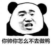 你帅你怎么不去做鸭