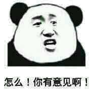 怎么!你有意见啊!