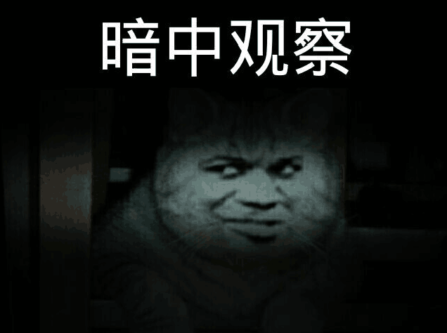 暗中观察