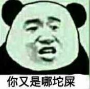 你又是哪坨屎