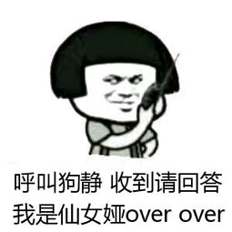 呼叫狗静，收到请回答，我是仙女娅 over over