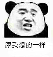 跟我想的一样