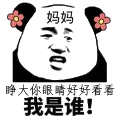 妈妈睁大你眼睛，好好看看我是谁!