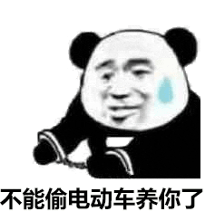 不能偷电动车养你了