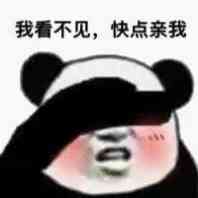 我看不见，快点亲我