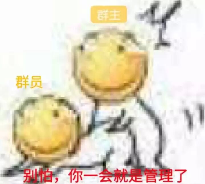 别怕，你一会就是管理了