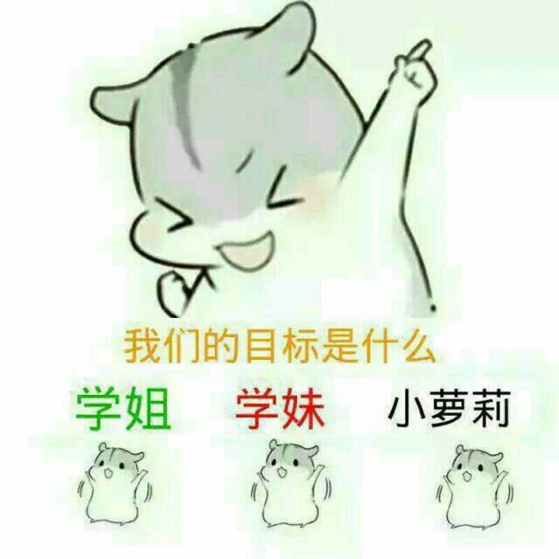 我们的目标是什么？学姐学妹小萝莉