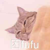 困fufu