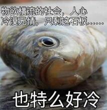 物欲横流的社会，人心冷漠无情，只剩下这石板。。也特么好冷