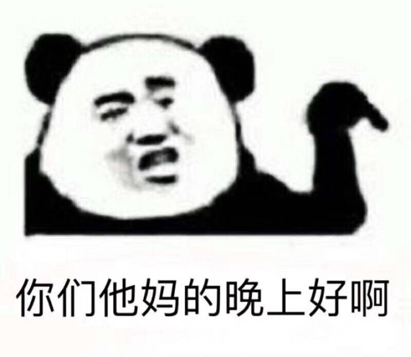 你们他妈的晚上好啊