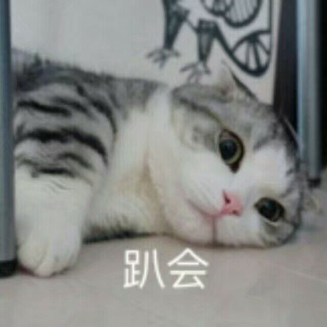 趴会（小猫）