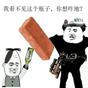 我看不见这个瓶子，你想咋地？（城管执法）