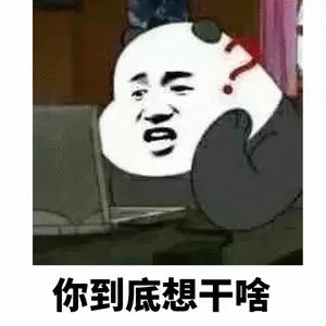 你到底想干啥