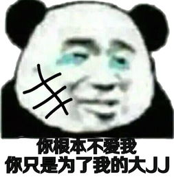 你只是为了我的大JJ