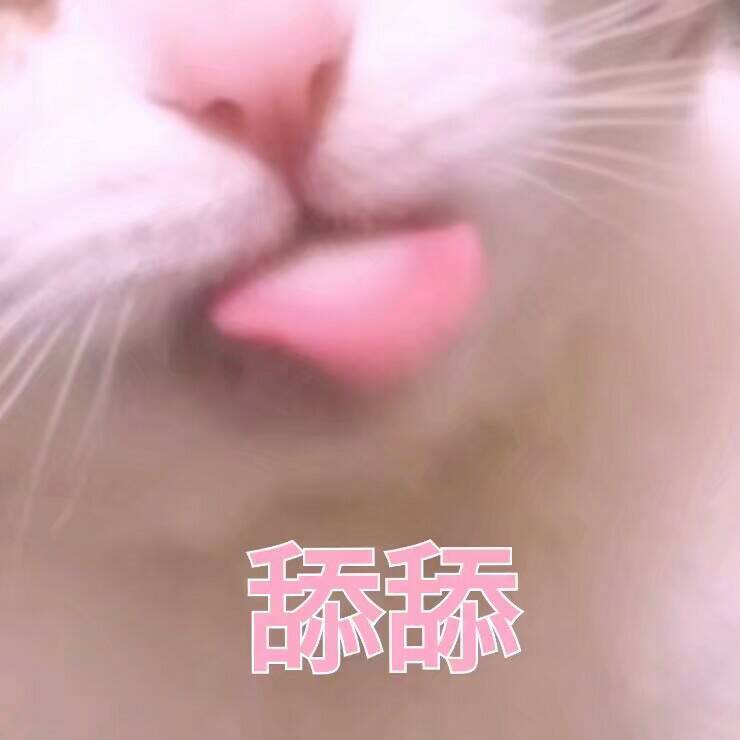 舔舔