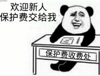 欢迎新人，保护费交给我