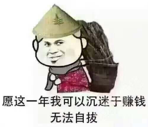 愿这一年我可以沉迷于赚钱无法自拔