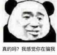 真的吗?我感觉你在骗我