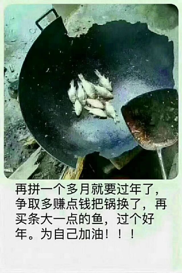 再拼一个多月就要过年了，争取多赚点钱把锅换了，再买条大一点的鱼，过个好年。为自己加油!!!