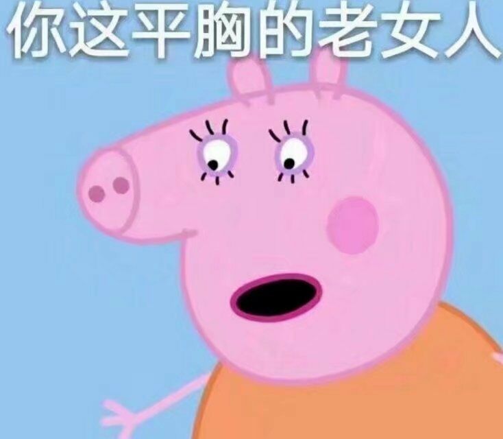 你这平胸的老女