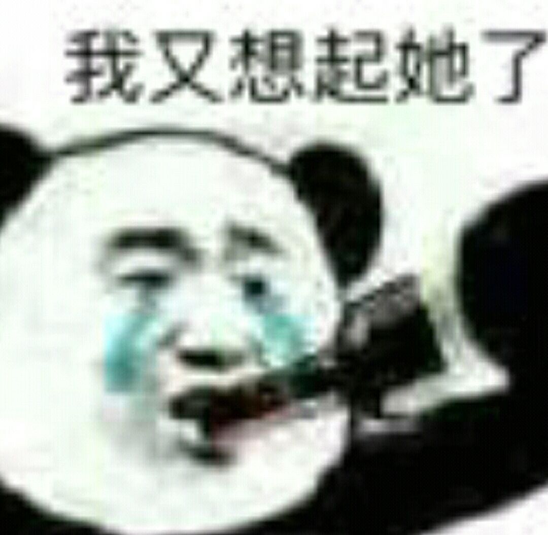 我又想起她了