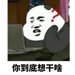 你到底想干啥