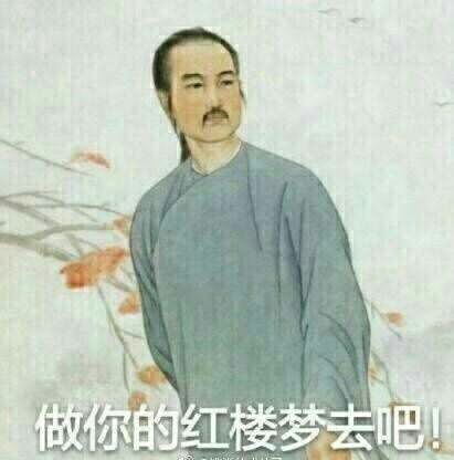 做你的红楼梦去吧