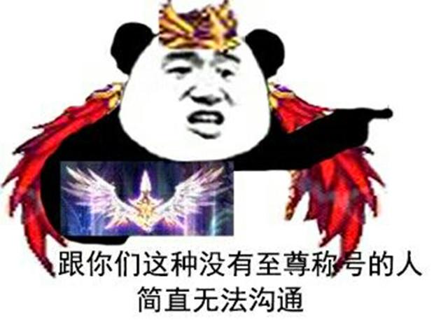 跟你们这种没有至尊称号的人，简直无法沟通