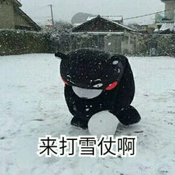 来打雪仗啊