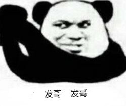 发哥发哥