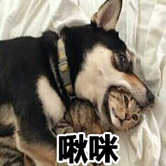 啾咪