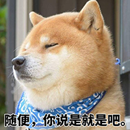 随便，你说是就是吧