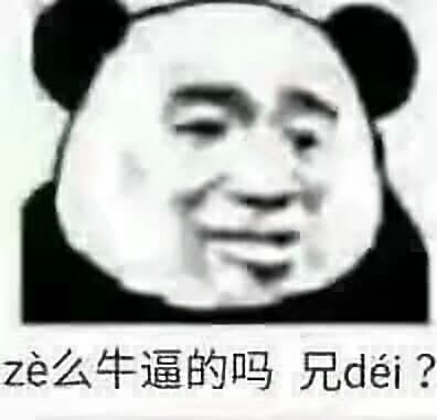 ze么牛逼的吗，兄dei？