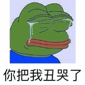 你把我丑哭了