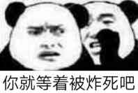 你就等着被炸死吧