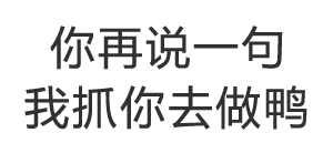 你再说一句我抓你去做鸭