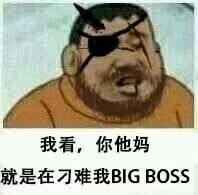 我看，你他妈就是在刁难我BIG BOSS