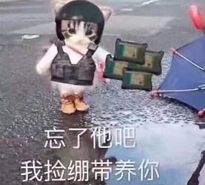 忘了他吧，我捡绷带养你