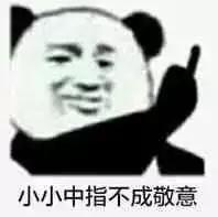 小小中指不成敬意