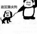 盗图重庆狗