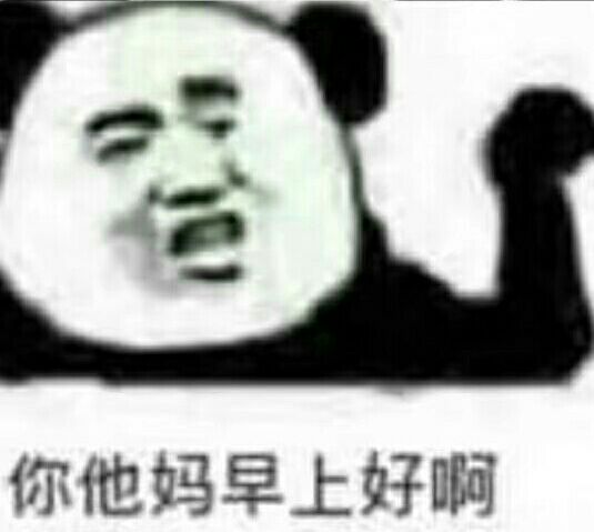 你他妈早上好啊