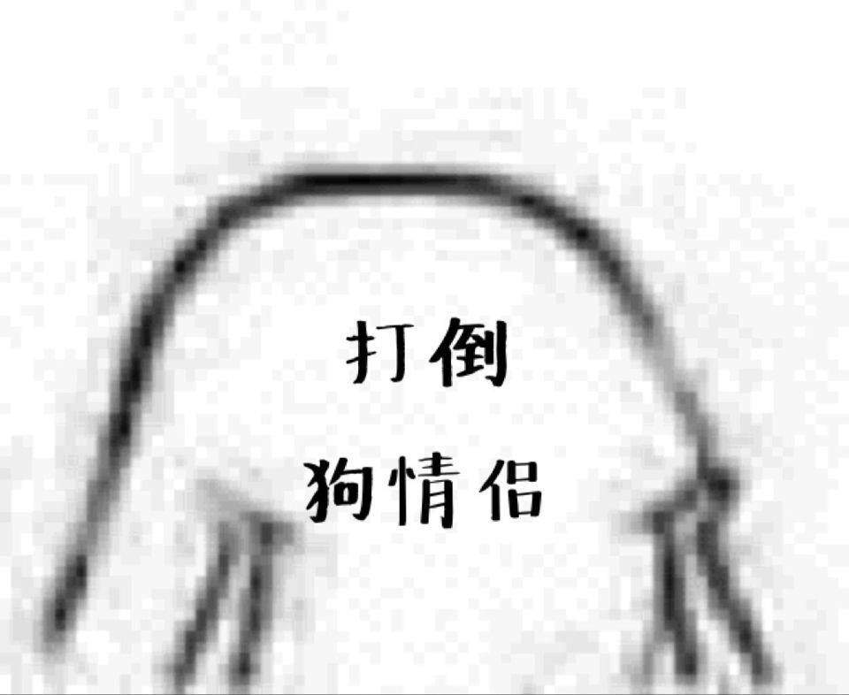 打倒狗情侣