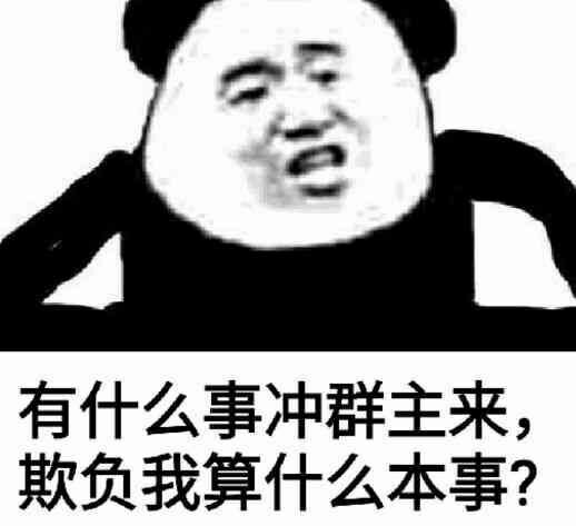 有什么事冲群主来，欺负我算什么本事？