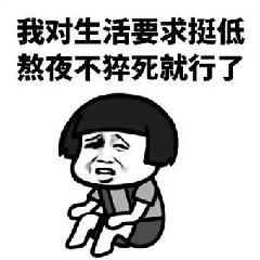 我对生活要求挺低熬夜，不猝死就行了