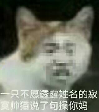 只不愿透蜜姓名的寂帅猫说了句操你妈